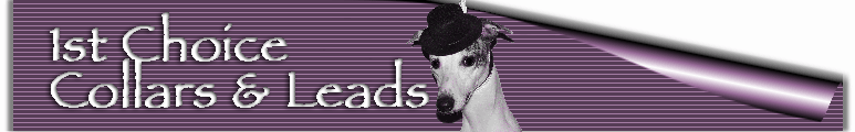 1st Choice Whippet Collars & Leads